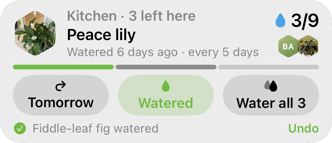 A Ploi watering round on the Lock Screen: the peace lily up next in the kitchen, 3 of 9 plants watered, with Tomorrow, Watered and Water all 3 buttons