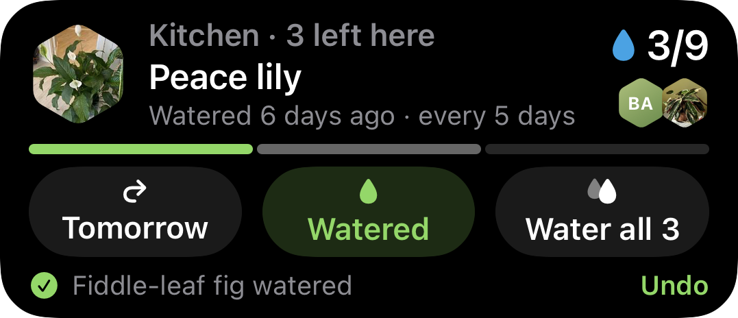 A Ploi watering round on the Lock Screen: the peace lily up next in the kitchen, 3 of 9 plants watered, with Tomorrow, Watered and Water all 3 buttons