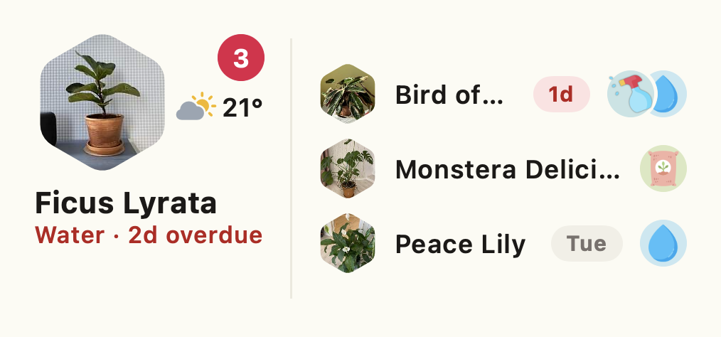 A Ploi home-screen widget listing the plants due for water this week