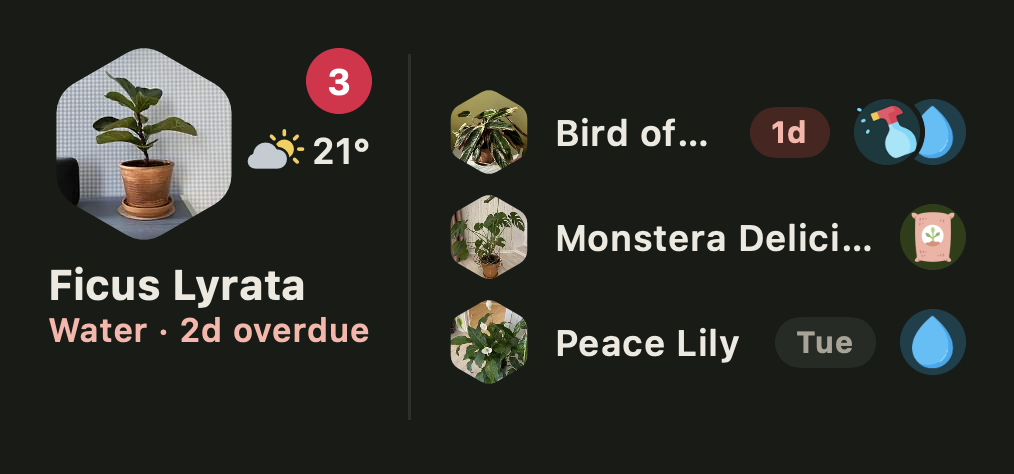 A Ploi home-screen widget listing the plants due for water this week