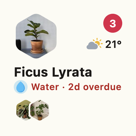 A small square Ploi widget showing the next plant to water