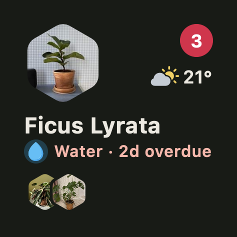 A small square Ploi widget showing the next plant to water