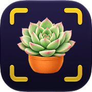 Ploi ID app icon