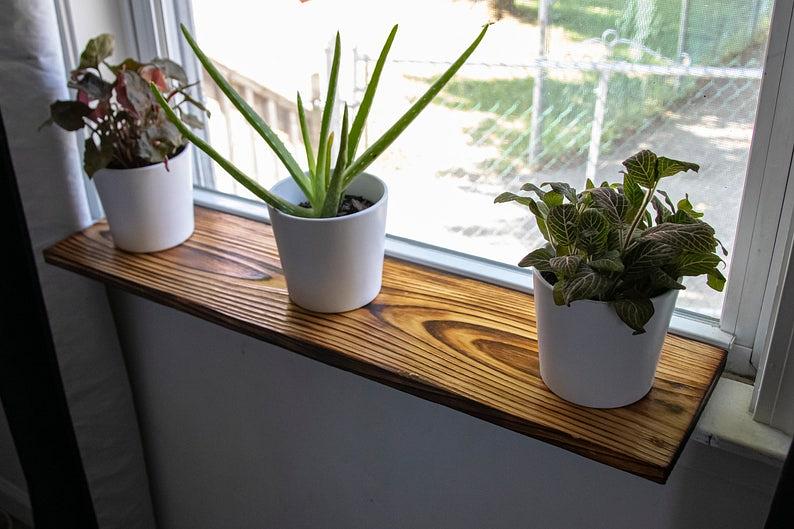 Plants on a Window Sill