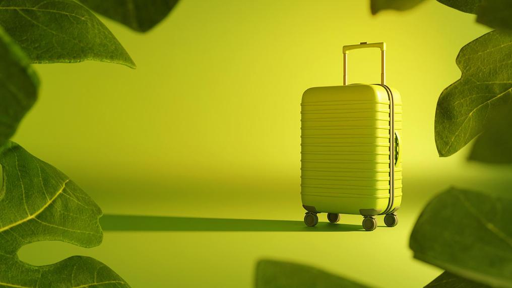 travel-green-3d-suitcase-fig-leaves-frame.jpg