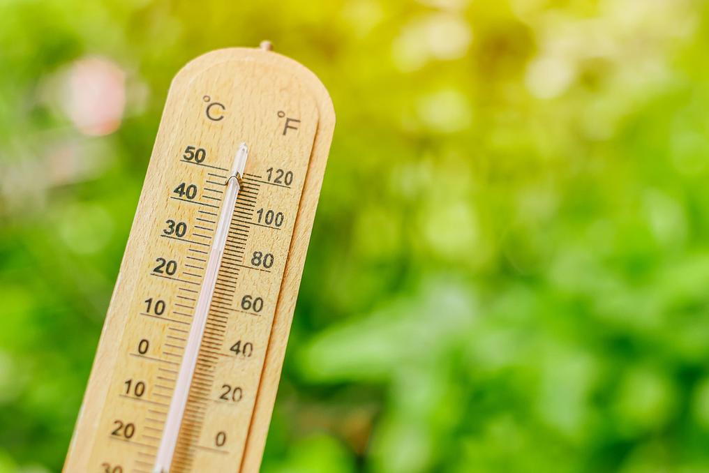 thermometer-with-blur-green-background-cooling-air-low-temperature-from-plant-tree-garden (1).jpg